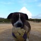 Mientras que siga teniendo gusto a pelota.... será una pelota. ¡Y punto!